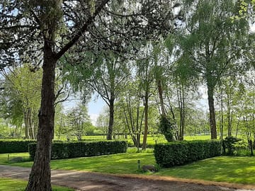 Pitches under the trees