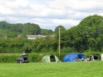 View of the pitches