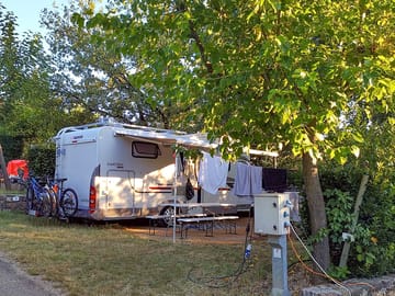 Pitches under the shade of trees