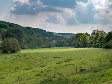 Au sein du domaine