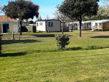Grass pitches