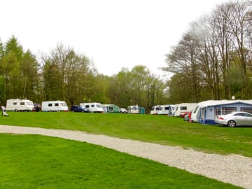 Pitches on site