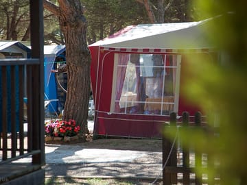 Camping pitches