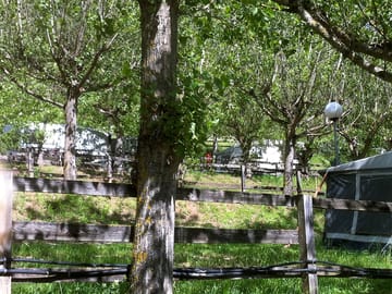 Leafy pitches