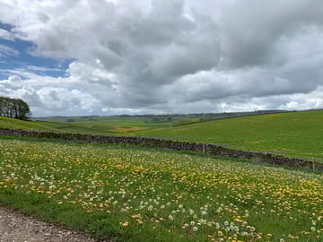 A lovely view from the field