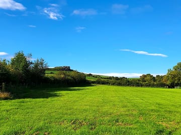 The site on a sunny day