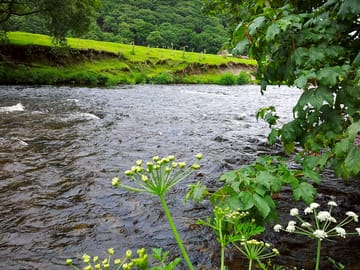 River, green fields, flowers and trees all on site