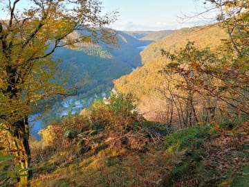 Surrounding area