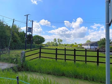 Horse paddock
