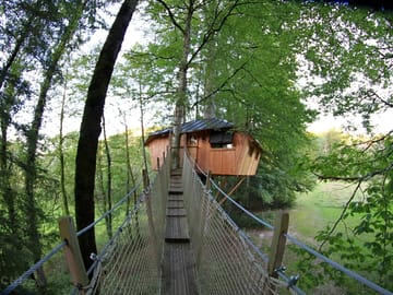 Entrance to the treehouse