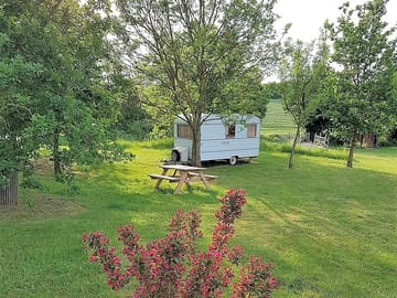 Caravan among the trees