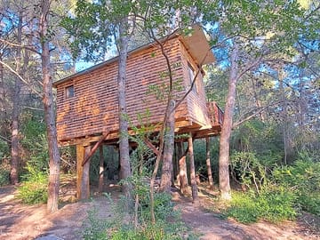 Treehouse from the outside