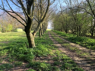 Ruffwoods