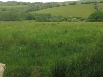 A view