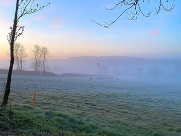 Misty morning