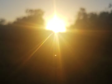 Beautiful sun set