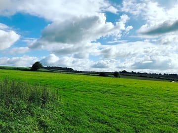 Grassy pitches in the field