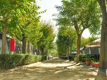 Pitches shaded by trees