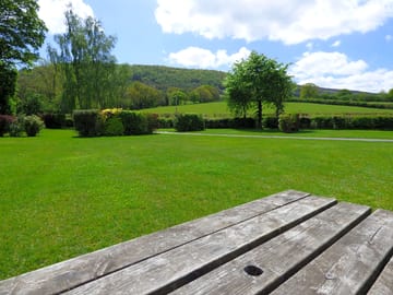 The meadow