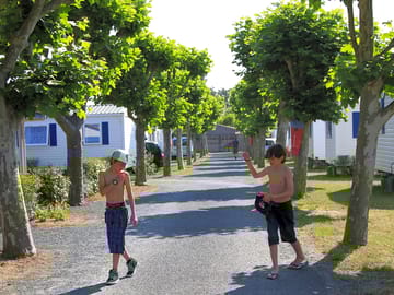 Around the site