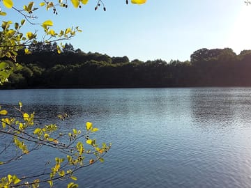 Clear waters of the lake