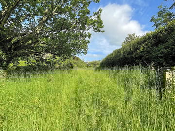 Wildlife haven