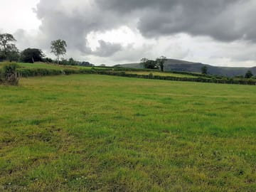 Camping field