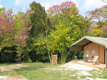 Cassiopée exterior