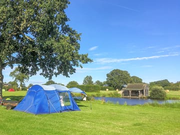Grass pitches on site