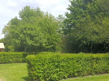 Secluded pitches