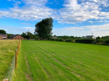 View from the pitches