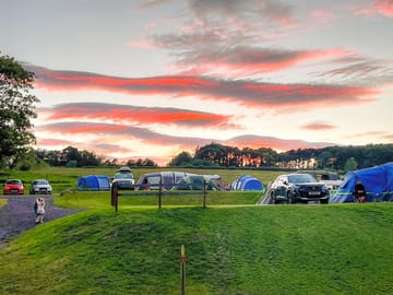 Sunset at blossom tree camping