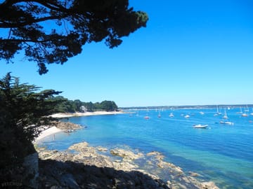 Beach near the site