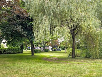 Grass pitches