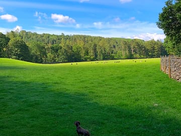 Sunny skies