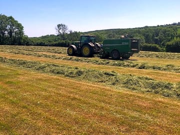 Farm