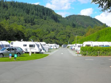 The park