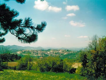 View from the pitches