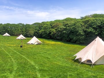 Site view