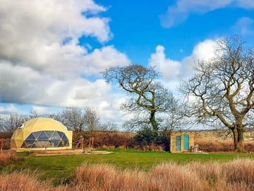 Dome next to an ancient oak tree