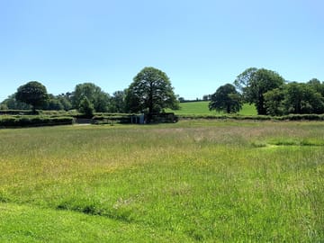 View up the field