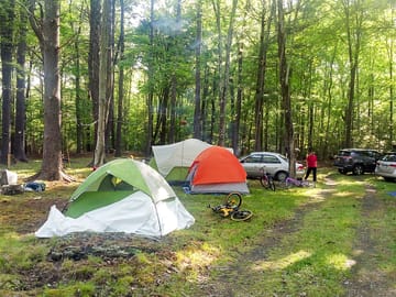 Camping among the trees