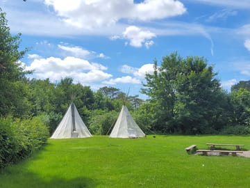 A very peaceful field for a relaxing stay surrounded by woodland