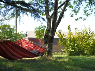 Relax in a hammock underneath the trees