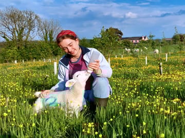 Camper bottle feeding a lamb.