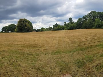 Spacious field