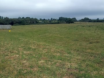 Level grass field