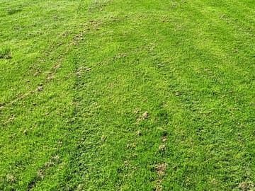 Field