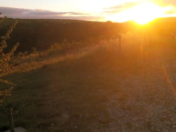 Sunset on site