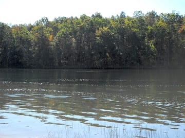 Pitches overlooking the lake